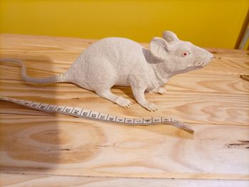 Grand Rat Albinos Sonore - 20 cm