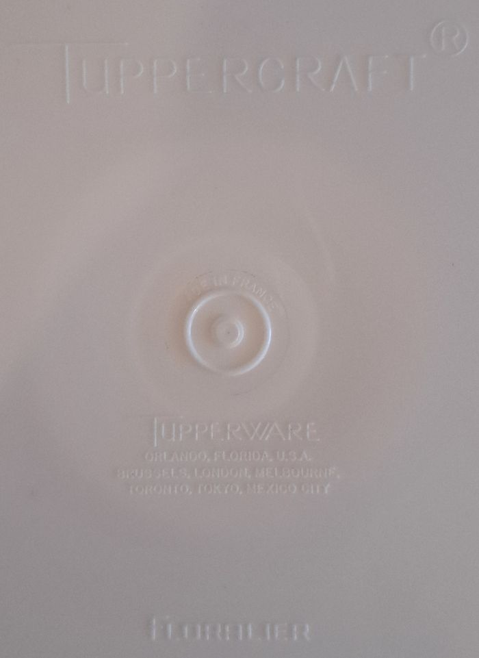 🏺Vase arrangeur de fleurs Tupperware Floralier - France - photo numéro 4