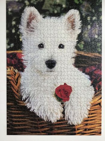 Puzzle floqué westie 1000 pièces
