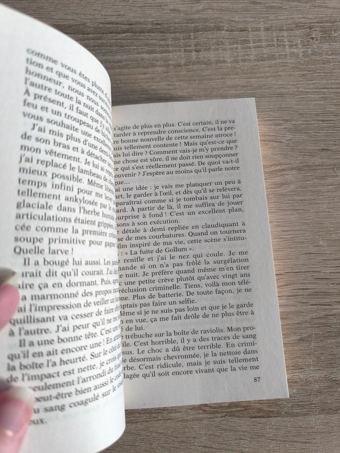 Mon tour de manège de Gilles legardiner - photo numéro 2