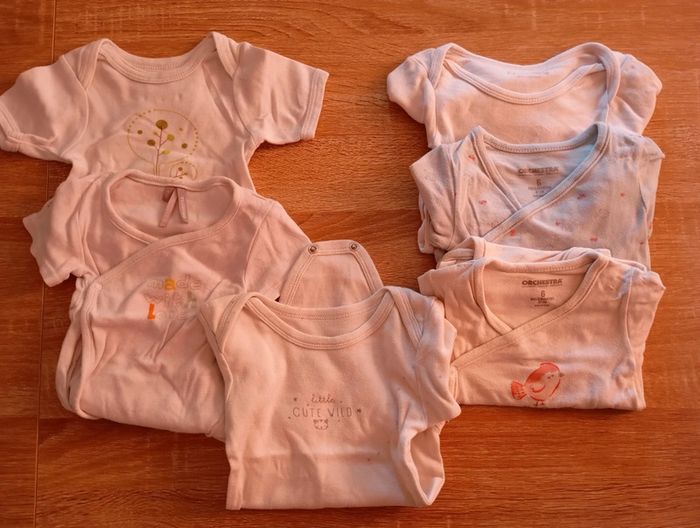 Lot de 6 bodies 6 mois