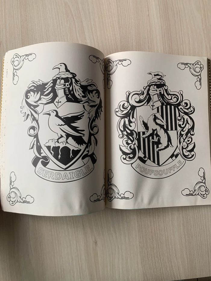 Livre de coloriage Harry Potter - photo numéro 3