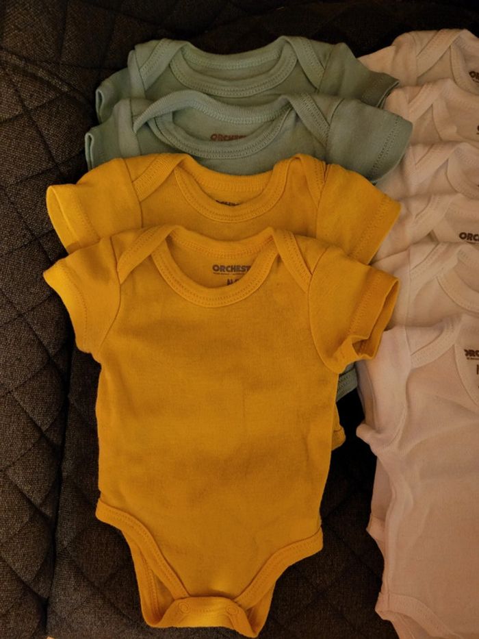 Lot 10 bodies - photo numéro 3