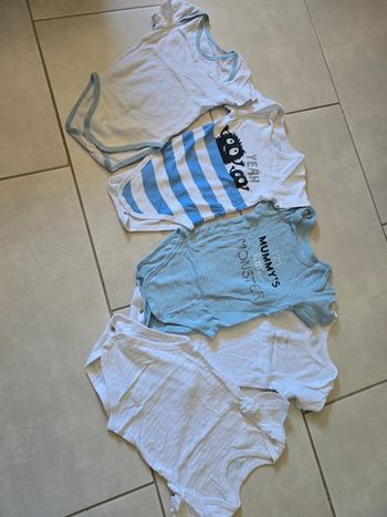 Lot bodies
