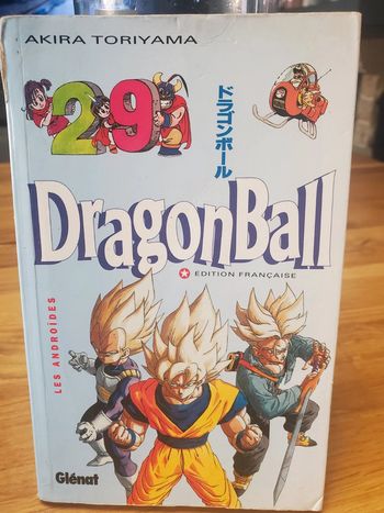 Manga Dragon Ball Z pastel  29