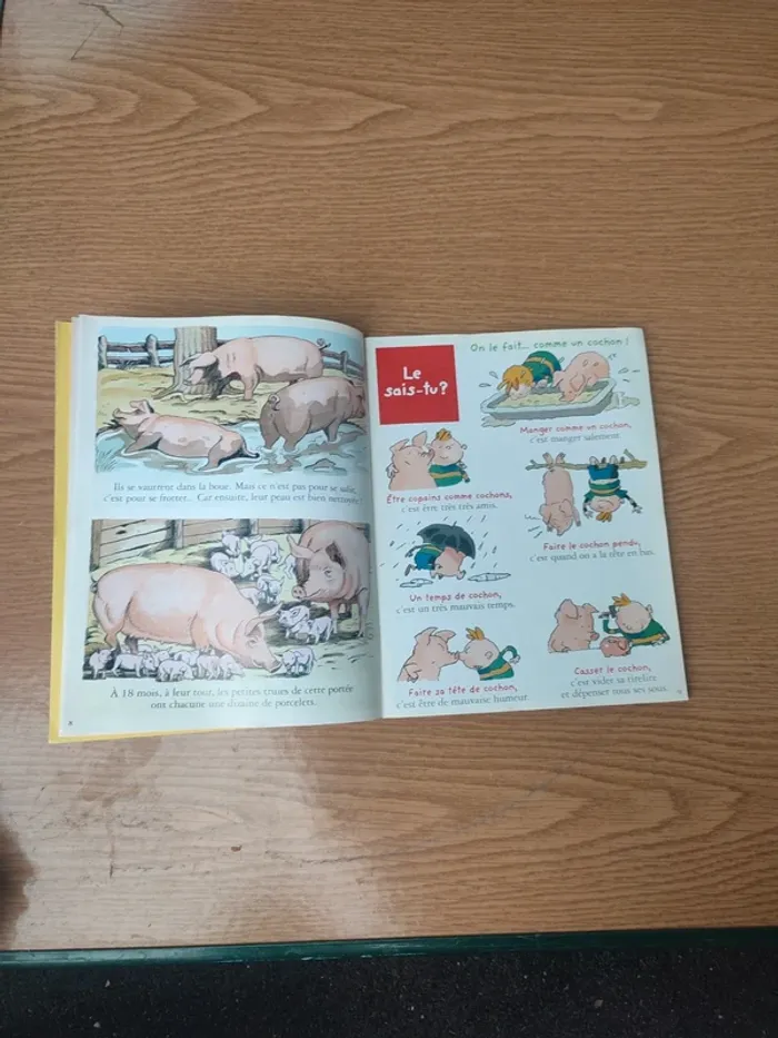 Livre youpi le 14 juillet raconté aux enfants - photo numéro 10