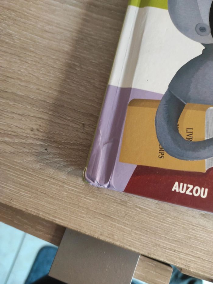 Le loup qui voyageait dans le temps – Auzou - photo numéro 4