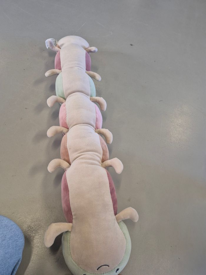 Grande Chenille - photo numéro 4