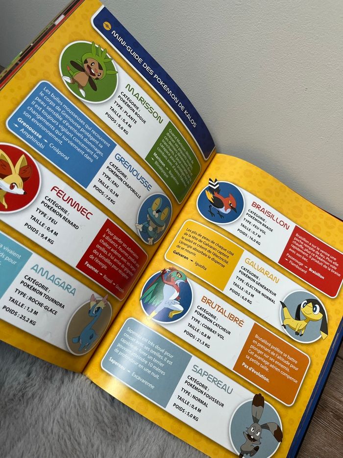 Livre Pokémon sans stickers - photo numéro 7
