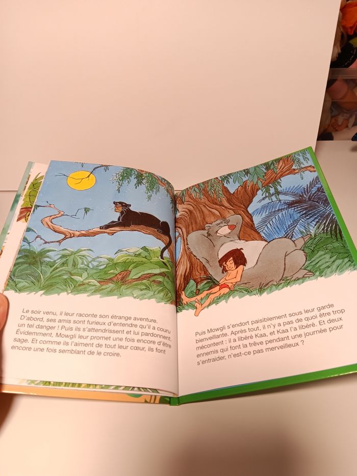 Livre Disney club du livre Le livre de la jungle Mowgli et Kaa - photo numéro 6