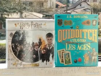 Harry Potter une année à Poudlard et le quidditch à travers les âges