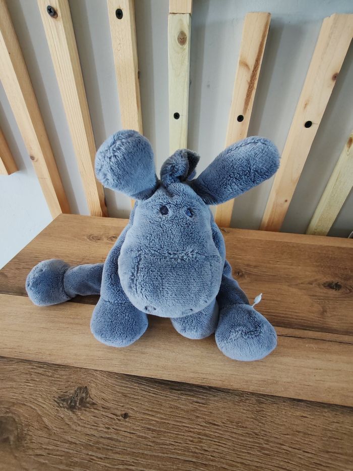 Paco l ane bleu marine noukie's