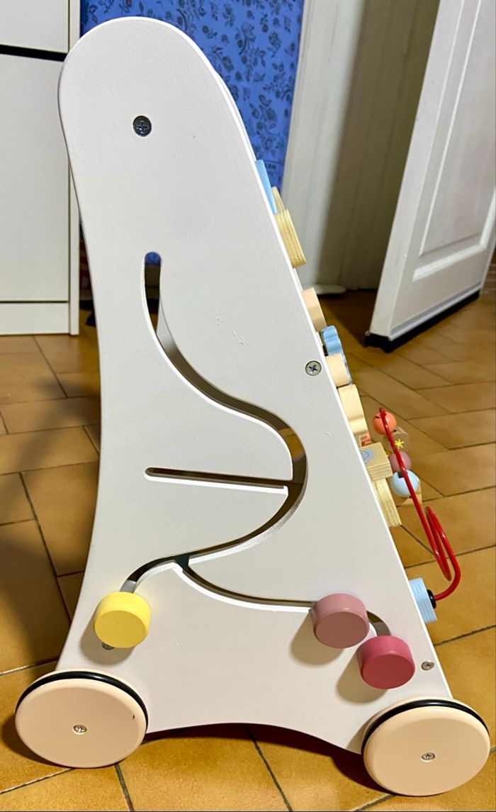 Chariot de marche - photo numéro 4