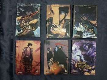 solo leveling 6 mangas