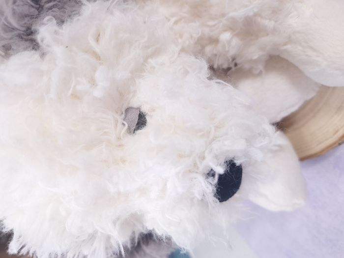 Peluche Jellycat chien de berger very cute Floofie Sheepdog pet - photo numéro 3