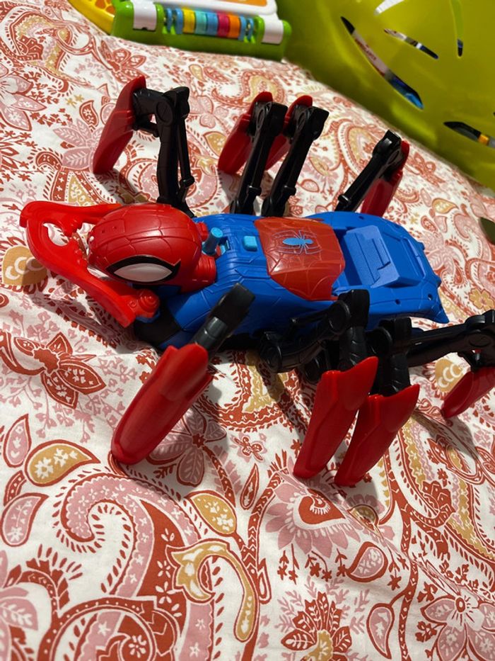 Araignée Spiderman - photo numéro 2