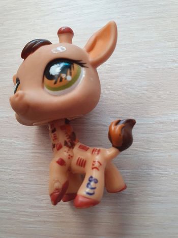 Petshop girafe