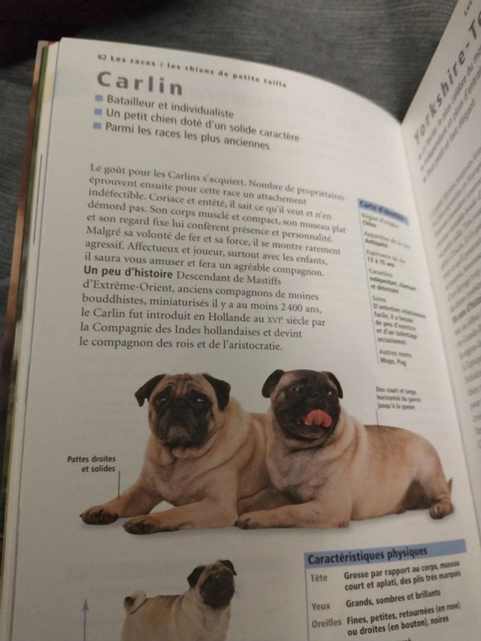 Le guide de référence du chien par docteur Bruce folge - photo numéro 9