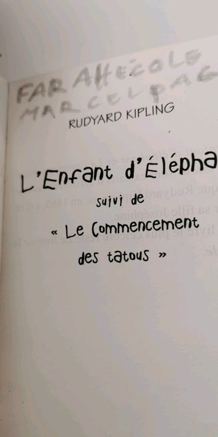 L'enfant d'éléphant - photo numéro 4