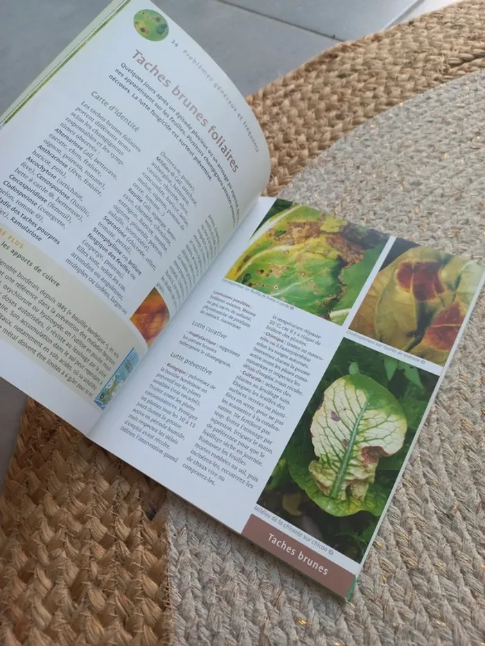 📖 Soigner les légumes reconnaître et soigner les maladies et ravageurs - photo numéro 4