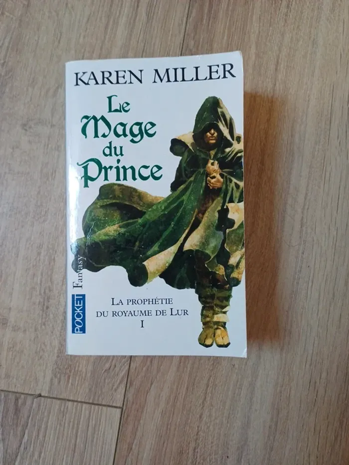 Le mage du prince
