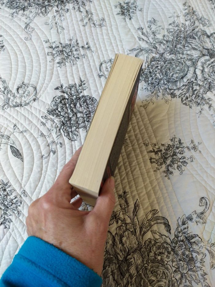 Le triomphe des Ténèbres de Giacometti Ravenne - photo numéro 5