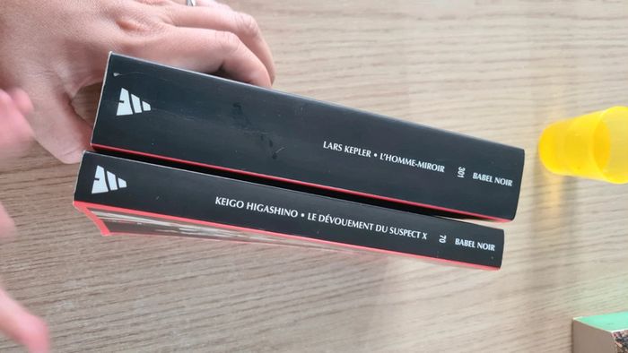 Lot 2 livres policiers Babel Noir - photo numéro 3