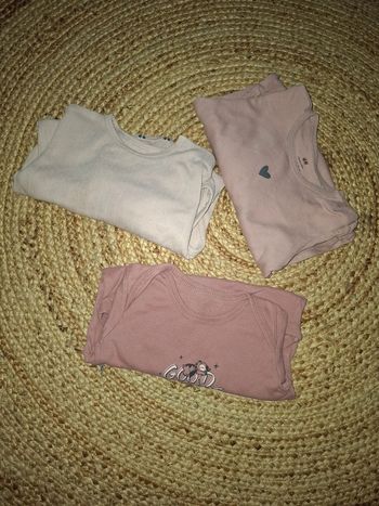 Lot body 18/24