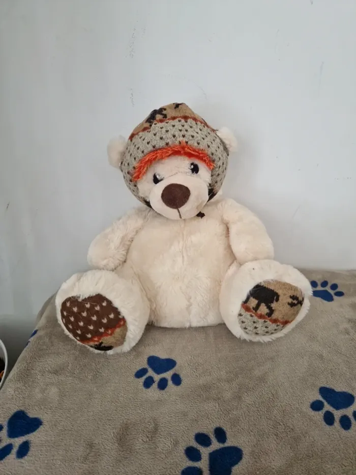 Ours en peluche