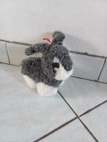Peluche