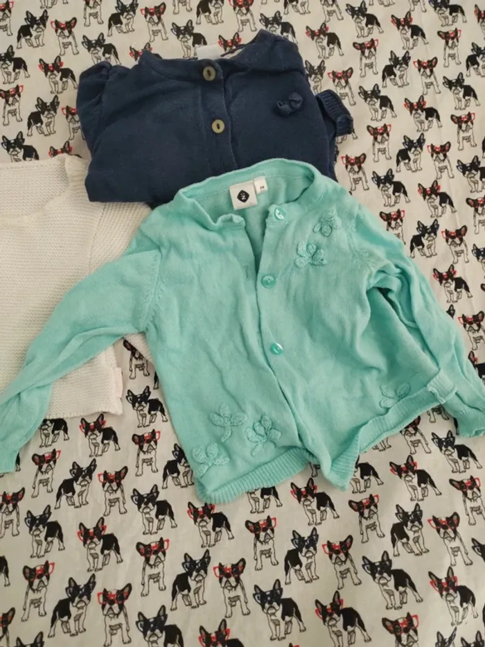 Lot gilet