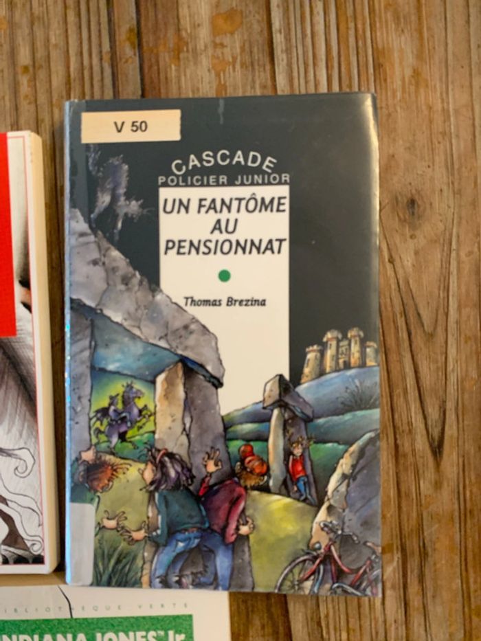 Lot 3 livres enfant 10 ans - photo numéro 3