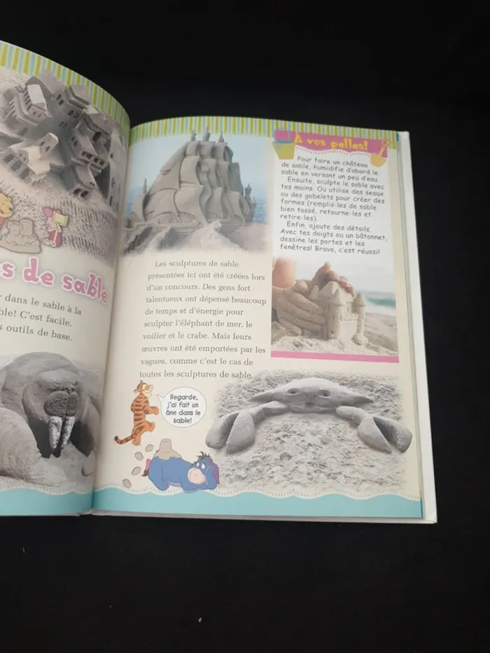 Livre "Mon album 2006 Disney" - photo numéro 4