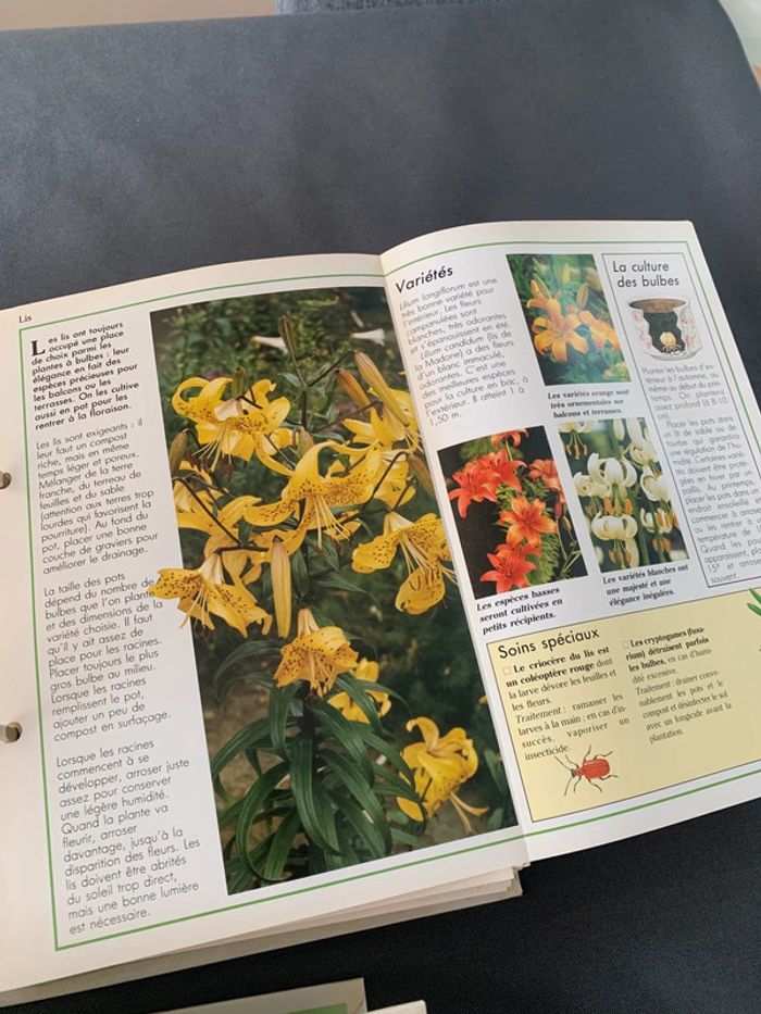 Soins et beauté des plantes - 1140 fiches explicatives - Série complète 6 classeurs + livre index - photo numéro 3