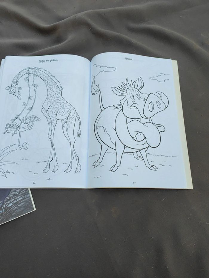 Livre coloriage bosniaque - photo numéro 6