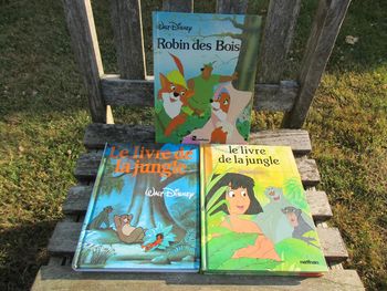 3 livres de 110 pages walt disney