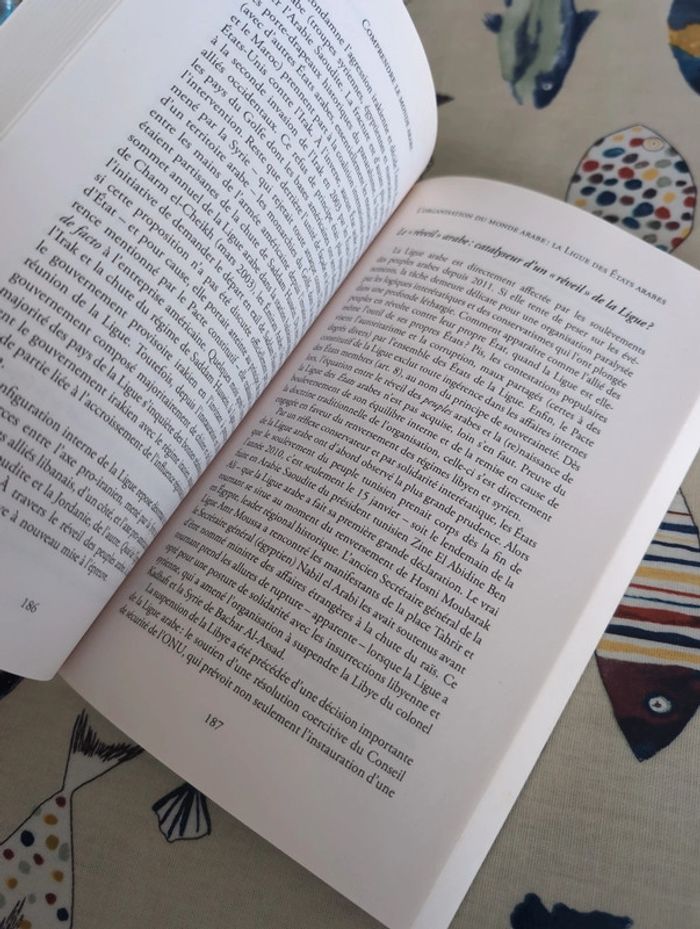 Comprendre le monde Arabe - photo numéro 3