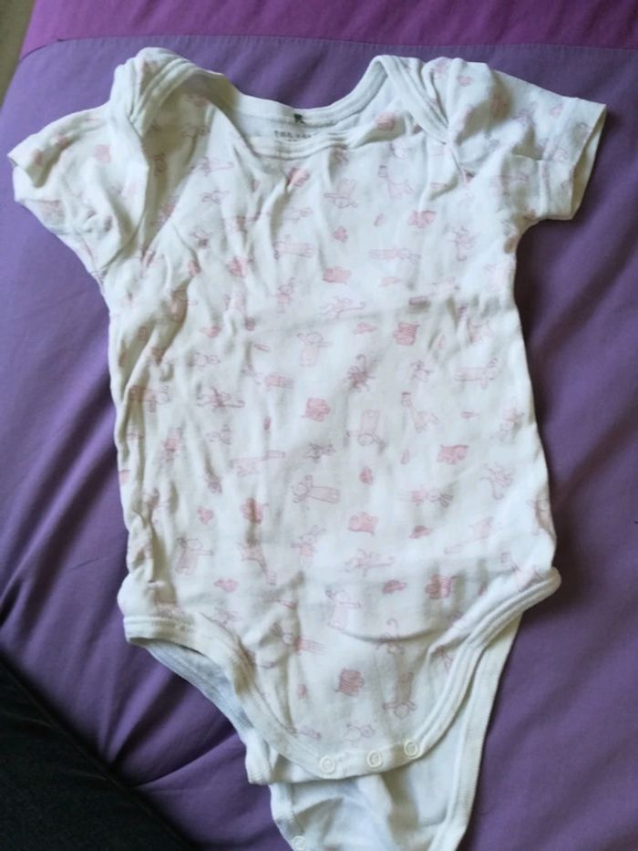 Lot 3 bodies manches courtes - photo numéro 2