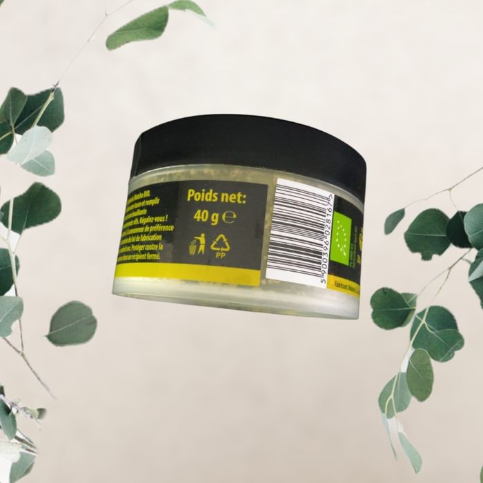Matcha poudre bio- pots de 40 g -Neuf avec étiquettes 🍀 - photo numéro 4