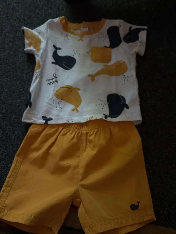 Ensemble baleine
