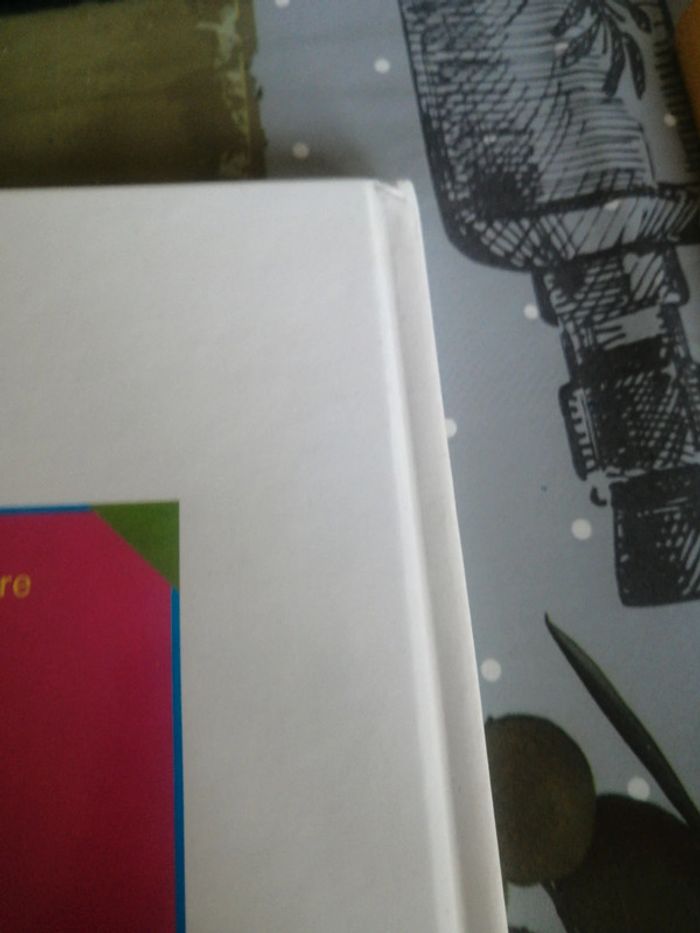 Livre pour débuter la lecture - photo numéro 8