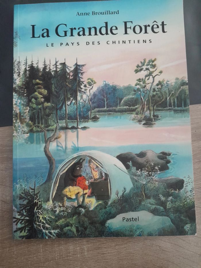grand album école des loisirs - La grande forêt - le pays des chintiens