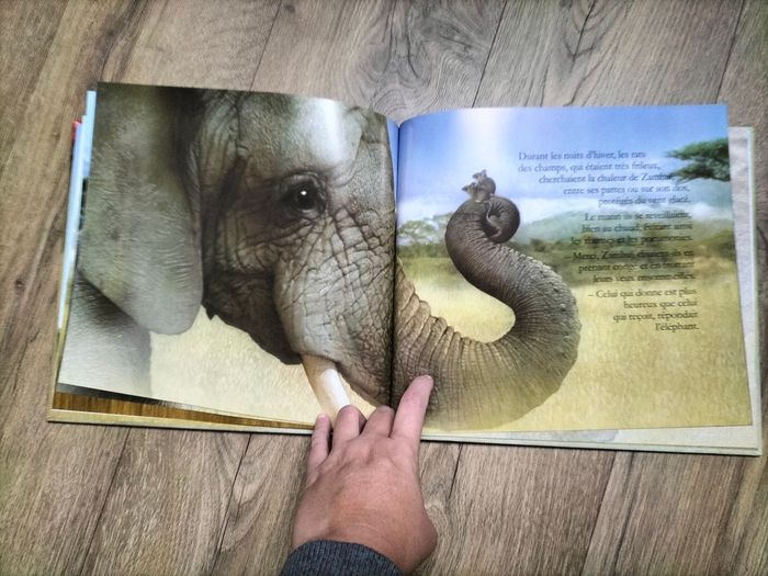 Livre L'éléphant et la générosité - photo numéro 4