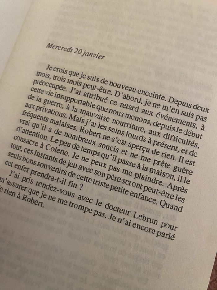 Journal d’Hannah – Louise L. Lambrichs 1993 - photo numéro 13