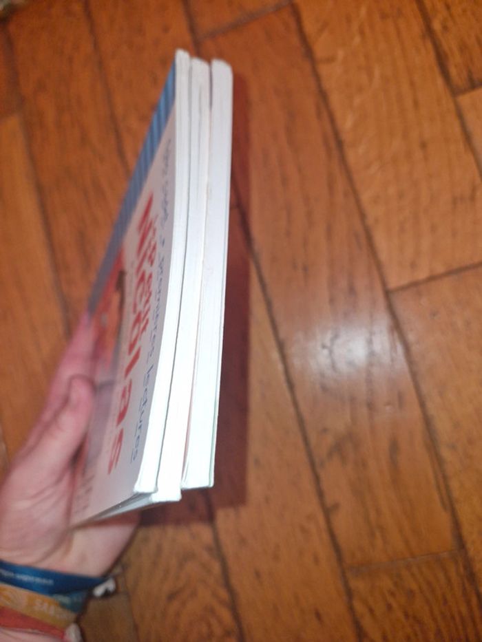 Lot de 3 livres petit Nicolas - photo numéro 4