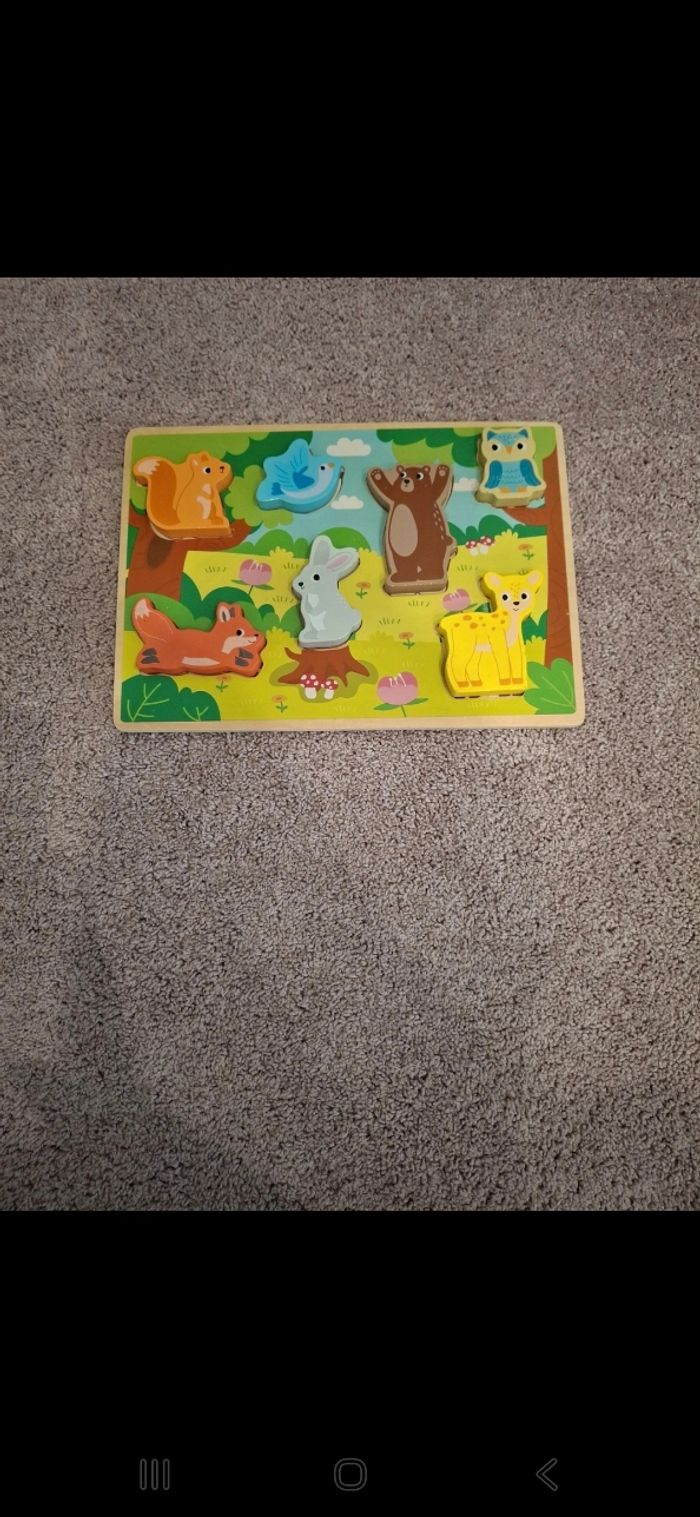 Puzzle encastrable