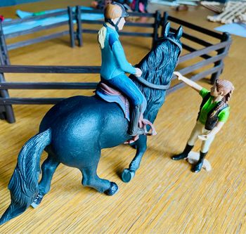 Schleich - leçon d équitation