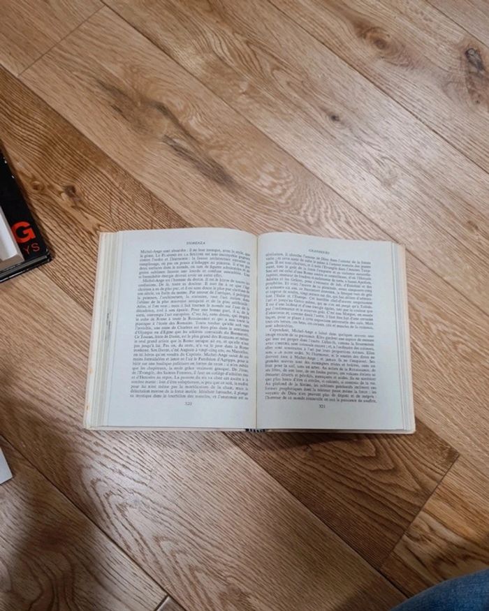 Voyage du condottiere - photo numéro 5