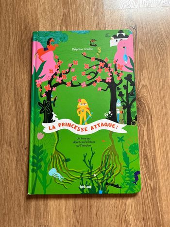 Livre-jeu La princesse attaque !