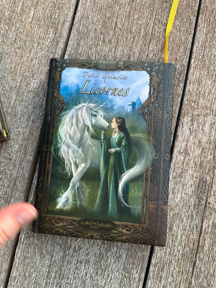 Lot de 2 livres petit grimoire - photo numéro 3